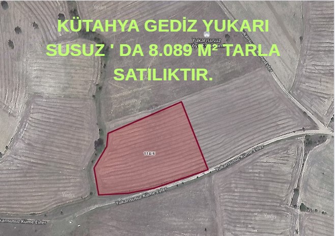Fotoğraf